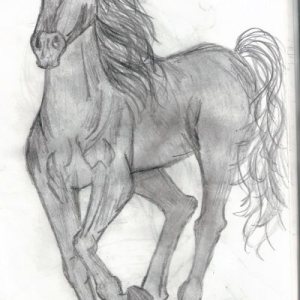 sudova_obr07