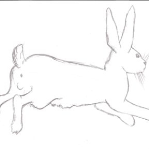 sudova_obr08